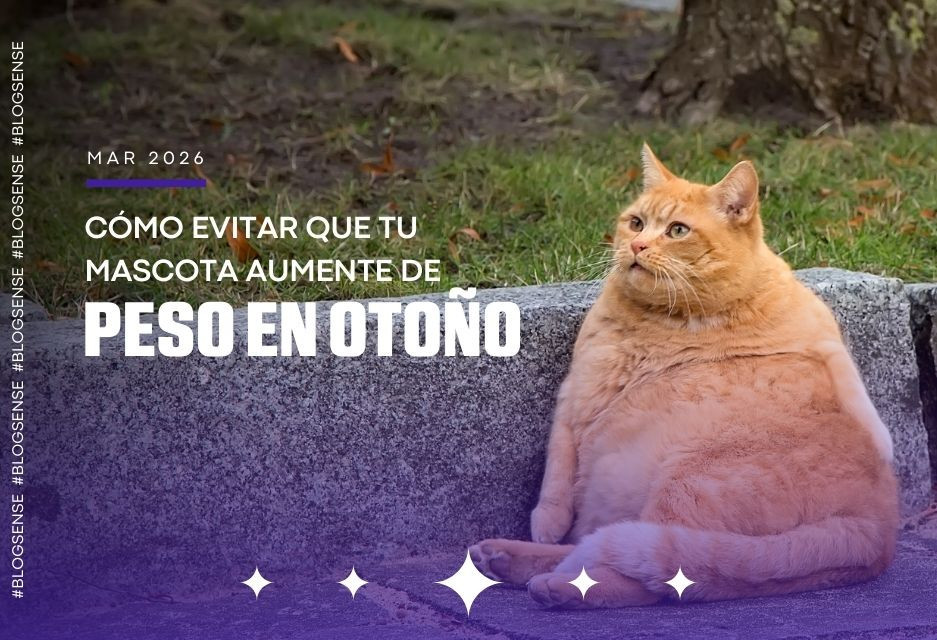 Cómo evitar que tu mascota aumente de peso en otoño